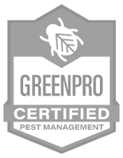 qp-badge-greenpro.2406131413068